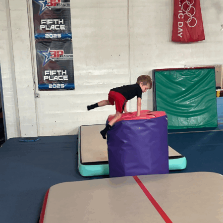 Ninja Warrior